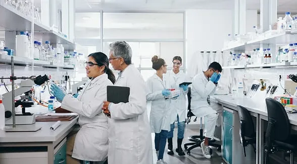 Vanguardia e innovación