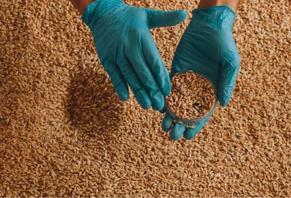 Asesoría fabricación piensos, aditivos